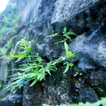 Hotel The Mountain Hangzhou Exterior foto
